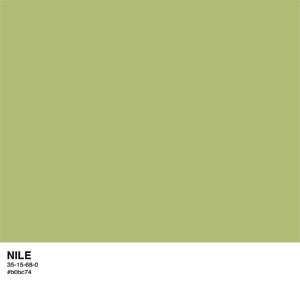 Nile Color Palette Cochlear Nucleus 6 Skin
